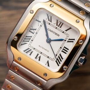 Cartier Santos WSSA0029 Replica Watch BV Factory Women's
