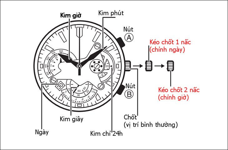 How to Easily Adjust Date and Time on a 6-Hand 3-Crown Watch (1)