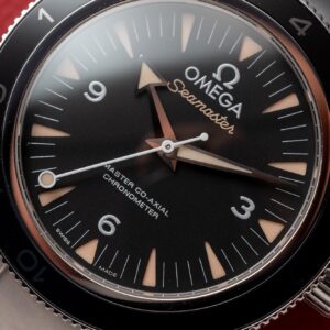 Omega Seamaster 007 Replica Watch VS Factory Black Dial 41mm (6)