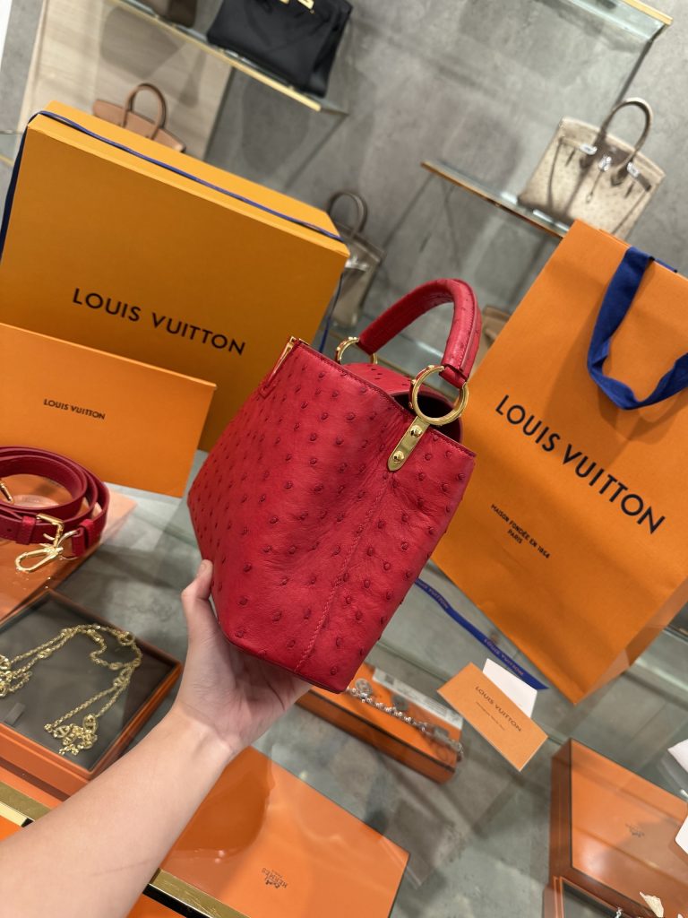 Louis Vuitton Capucines Imported Ostrich Leather Replica Handbags (6)