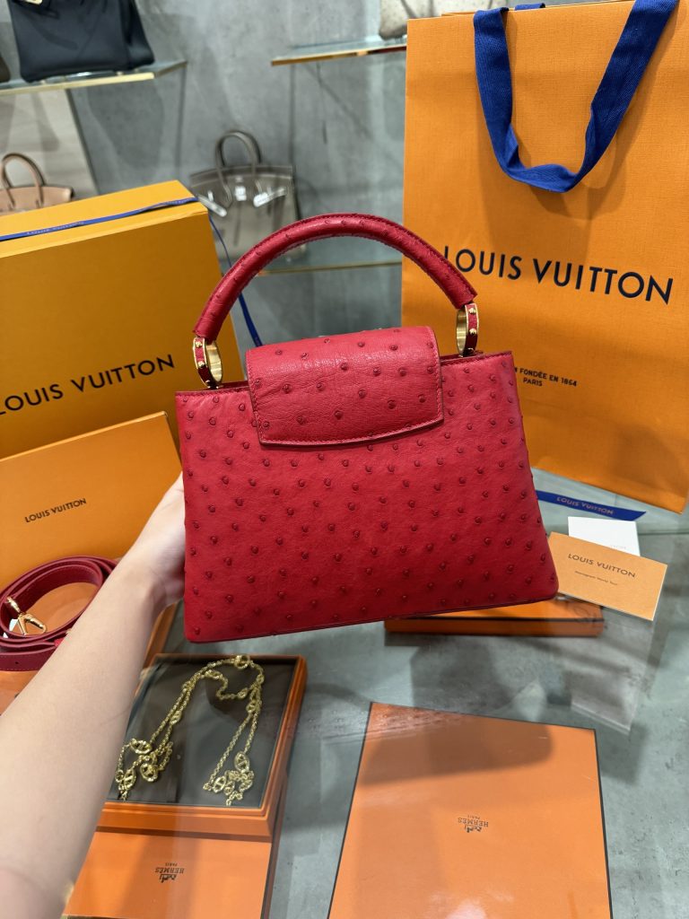 Louis Vuitton Capucines Imported Ostrich Leather Replica Handbags (6)