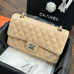 Chanel Classic Womens Replica Handbags Beige Colored Lock Silver 25cm (2)