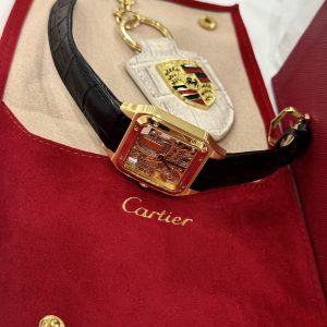 Cartier Santos WHSA0031 Replica Watches Leather Cord 31x43mm (2)