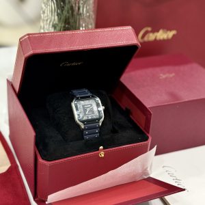 Cartier Santos WSSA0030 Replica Watches Blue Dial Rubber Band 39 (2)