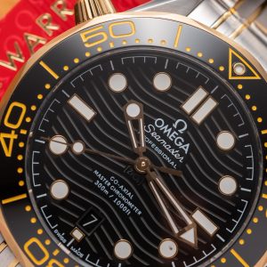 Omega Seamaster Best Replica Demi Gold VS Factory 42mm (1)