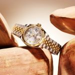 The Price of a Rolex Oyster Perpetual Datejust Watch (2)