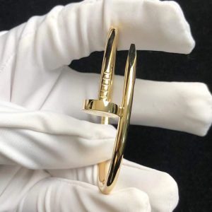 Cartier Juste Un Clou Bracelet Custom 18K Gold (2)