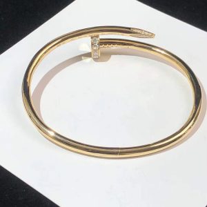 Cartier Juste Un Clou Bracelet Custom 18K Gold Natural Diamond (2)