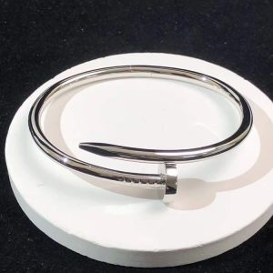 Cartier Juste Un Clou Bracelet Custom 18K White Gold (2)