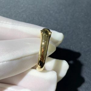 Panthère De Cartier Ring Custom Natural Gemstones 18K Gold (2)