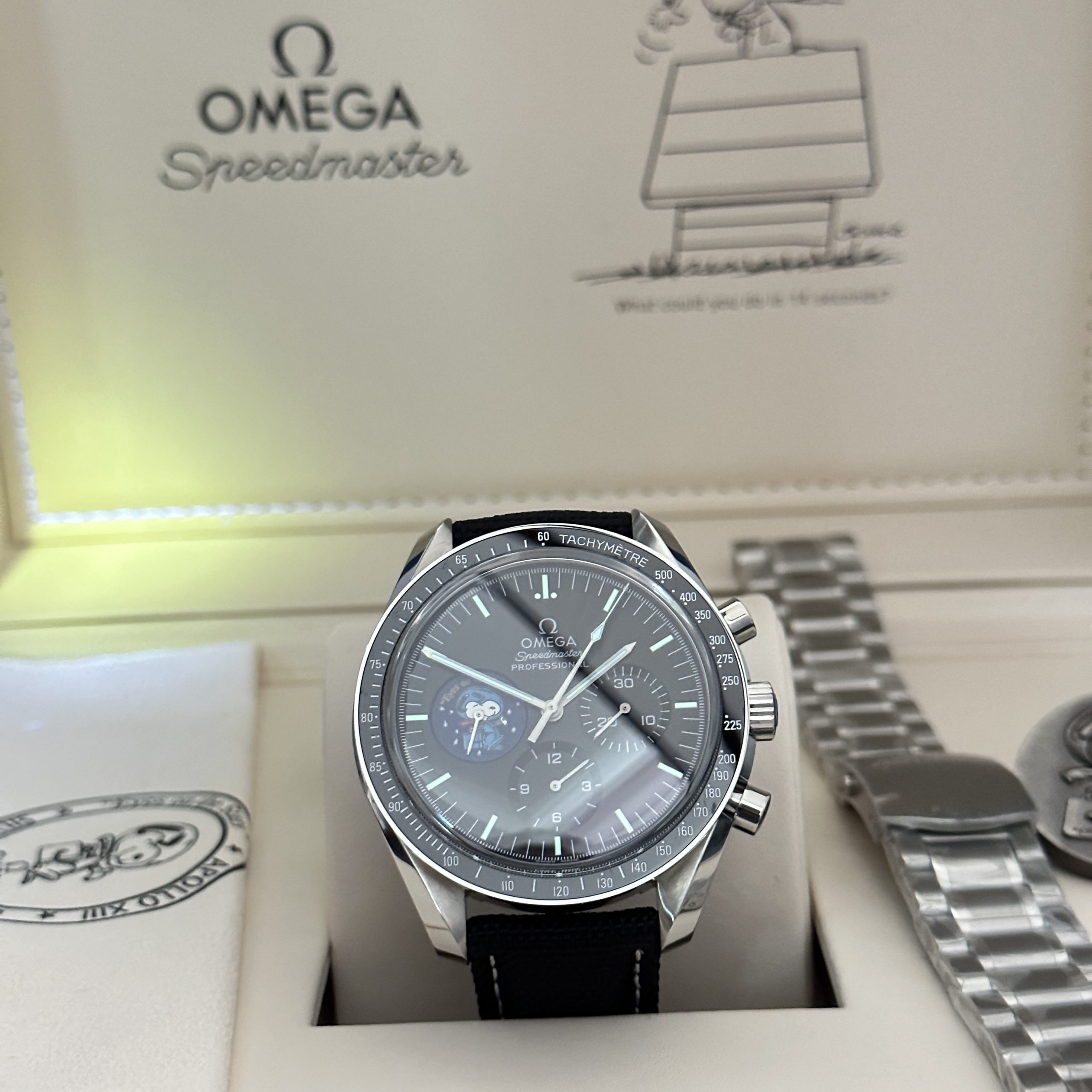 Omega Speedmaster Imitation Watch Silver Snoopy 50th Anniversary Black Dial New Version 2025 42mm (11)