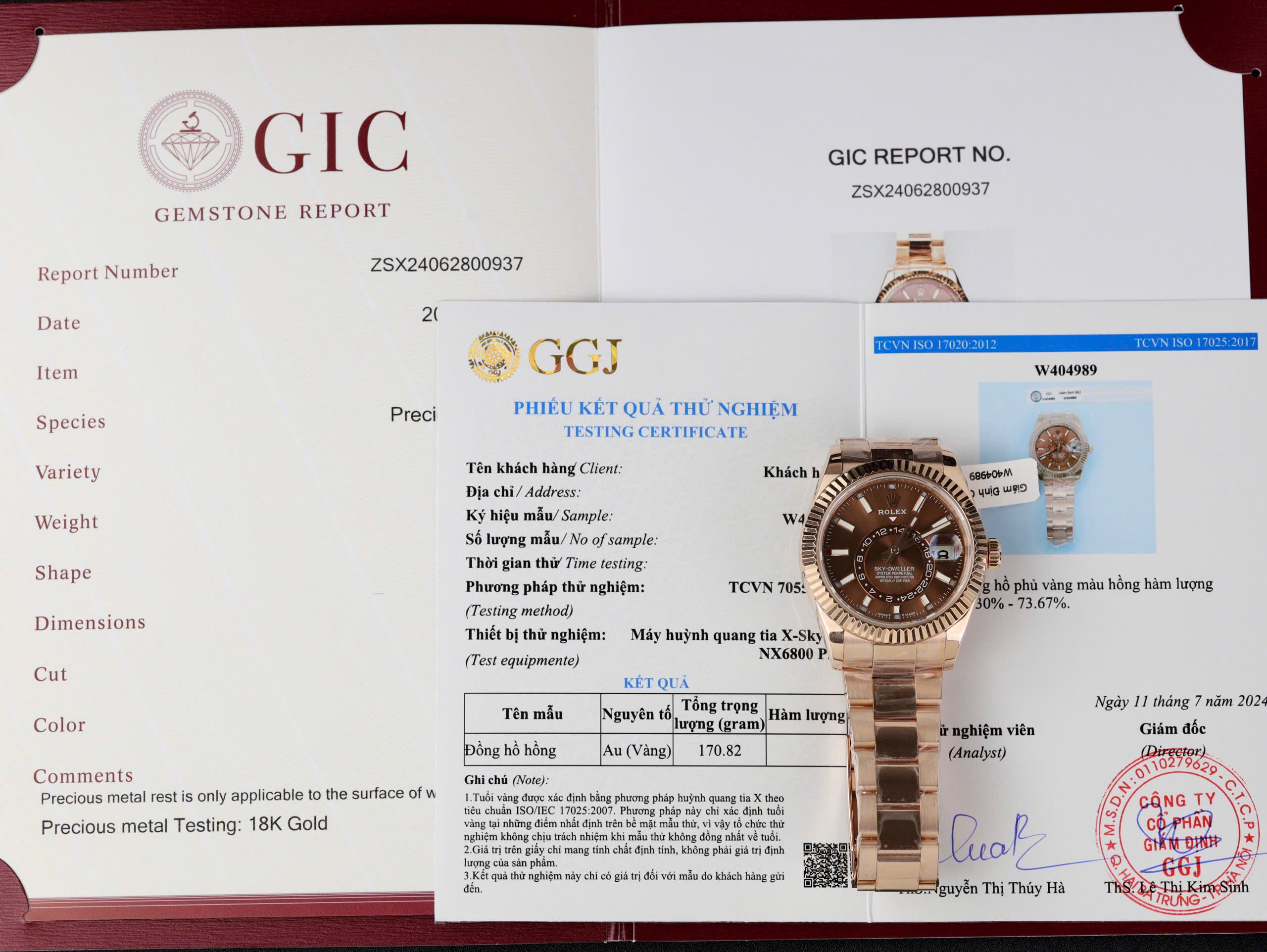Rolex Sky-Dweller Imitaiton Watch Gold 18K Wrapped Brown Chocolate Dial Automatic 42mm (1)